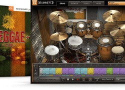 Toontrack EZX  - Reggae